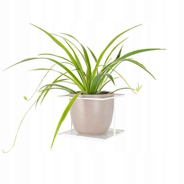Květináč na zeď Flora XL závěsný kovový, bílý, pro velké květiny, rostliny