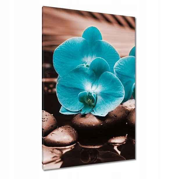Obrazy 80x120 Tyrkysový orchidej