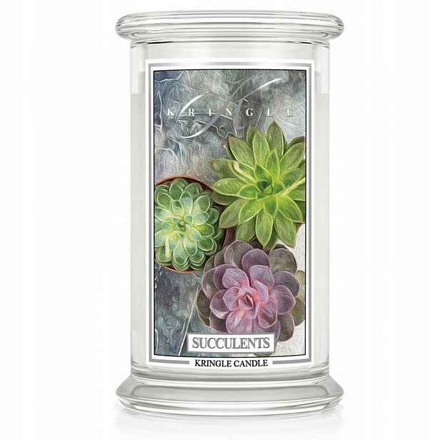 Velká svíčka Succulents Kringle Candle