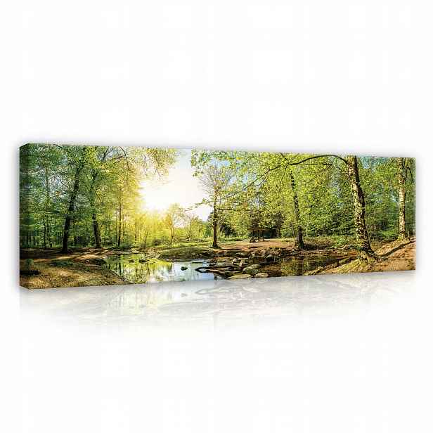Obraz Les Příroda Pohled Krajina Stromy Moderní Na Plátně Stěna 145x45