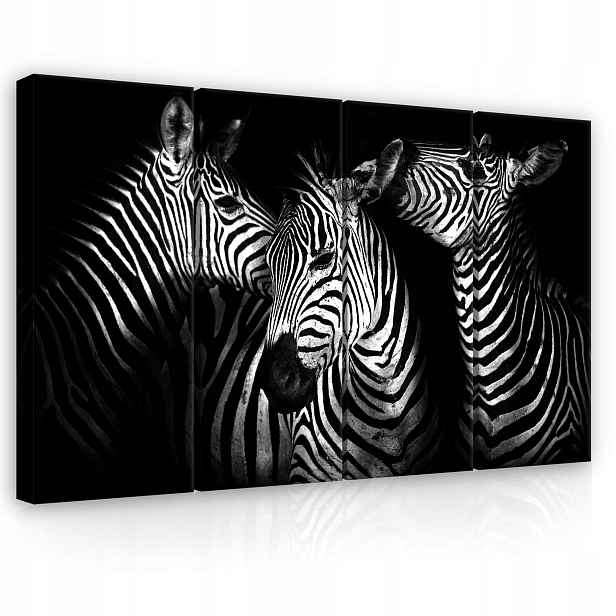 Obraz 120x80 Zebra černobílý Afrika pruhy grafika moderní elegance