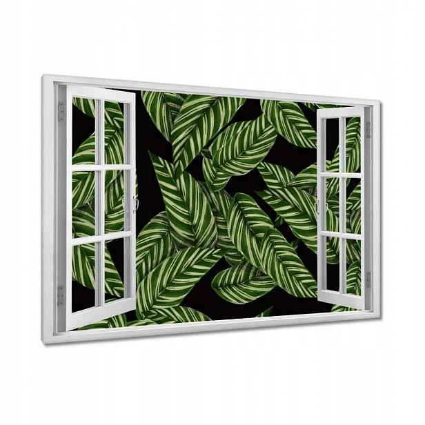 Obrazy 90x60 Zelené listy Tropiky