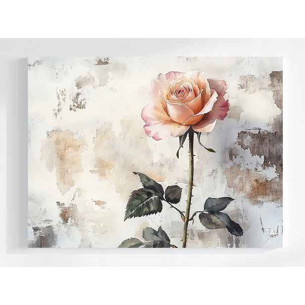 Obraz Na Plátně Canvas Stěna Zeď Příroda Květ Červená Růže Zahrada 80x60