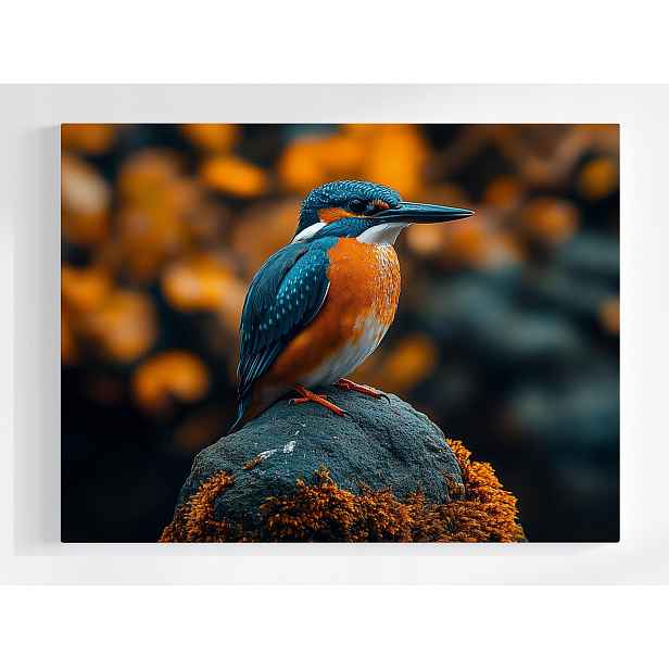 Plakát Příroda Fauna Pták Zimorodek Makro 100x75