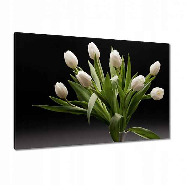 Obrazy 120x80 Bílé Tulipány ve váze