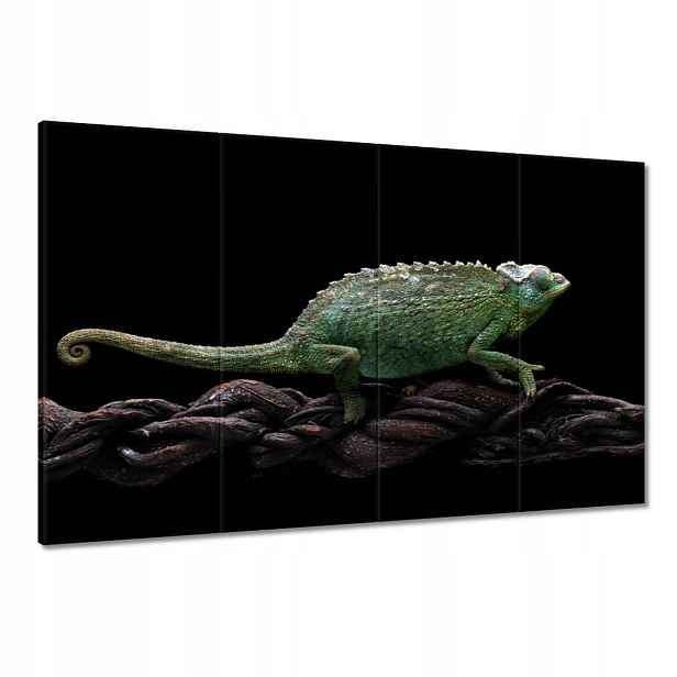Obrazy 120x80 Dlouhý zelený chameleon