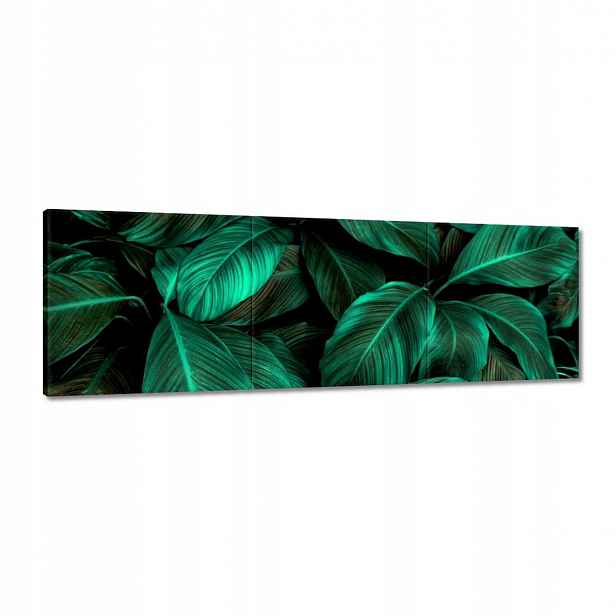 Obrazy 120x40 Krásné tyrkysové listy