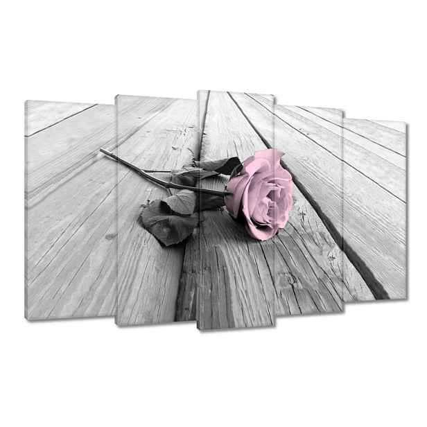 Obrazy 100x60 Pudrová růžová Old pink Rose