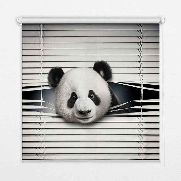 TULUP VNITŘNÍ roleta - okenní roleta - roleta - 70x140 cm - Panda