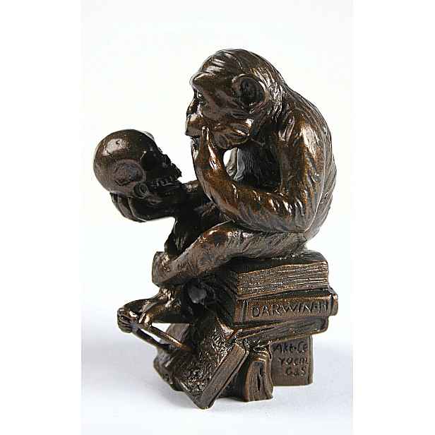 Figurka Parastone Opice s lebkou Rheinhold 9 cm