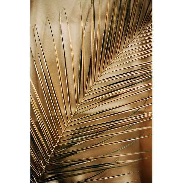Tištěný skleněný obraz 80x120 cm Gold Palm  – Styler