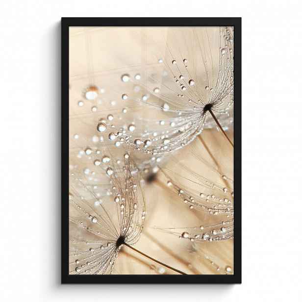 MuchoWow PLAKÁT V RÁMU Pampeliška - Abstraktní - Příroda - Béžová 40x60 cm