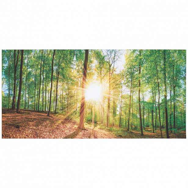 Euroart OBRAZ NA PLÁTNĚ, stromy, 115/55/3 cm - Obrazy na plátně - 005721022204
