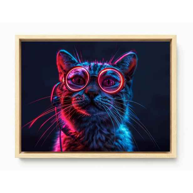 Obraz Rám Americký Box Portrét Kočka Kocur Růžové Brýle Techno Nerd 80x60