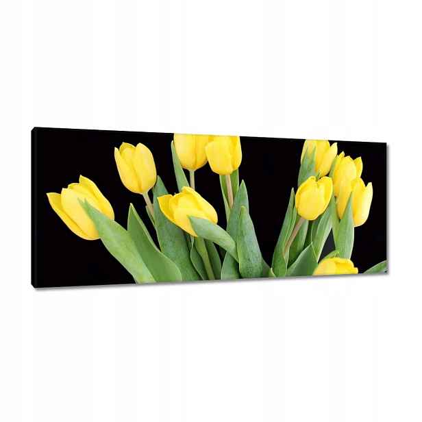 Obrazy 100x40 Žluté tulipány