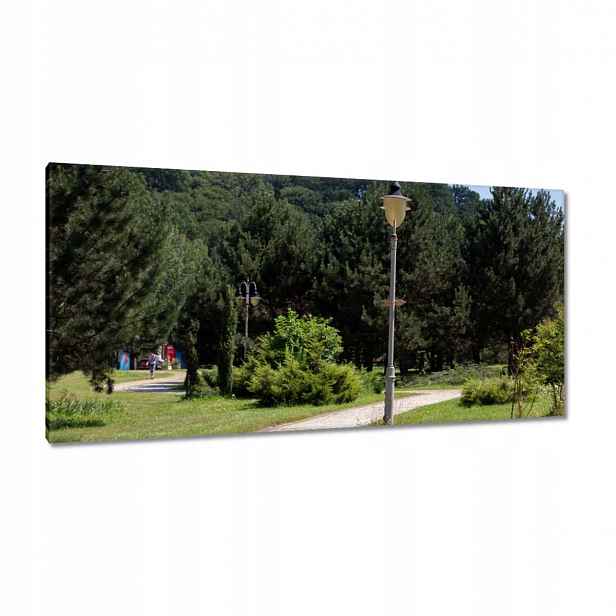 Obrazy 115x55 Zelený park se stromy