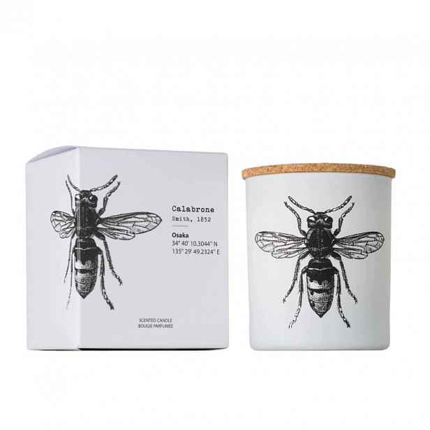 Calabrone Vila Hermanos vonná svíčka 190 g, série Insect Collection