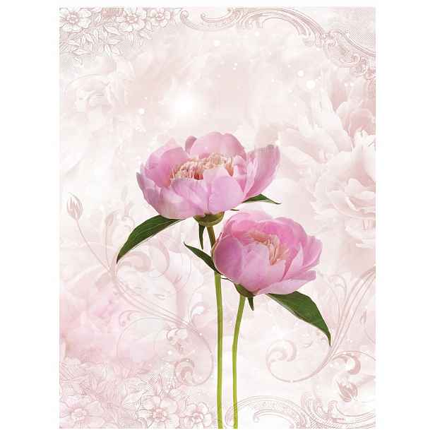 Fototapeta Pivoňky růžová vinylová jemnost elegance 184x254 lepidlo