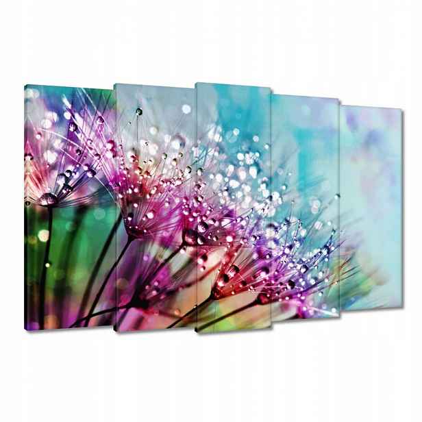 Obrazy 150x95 Kapky rosy Pampeliška