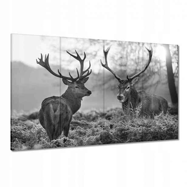 Obrazy 120x80 Černobílí jeleni