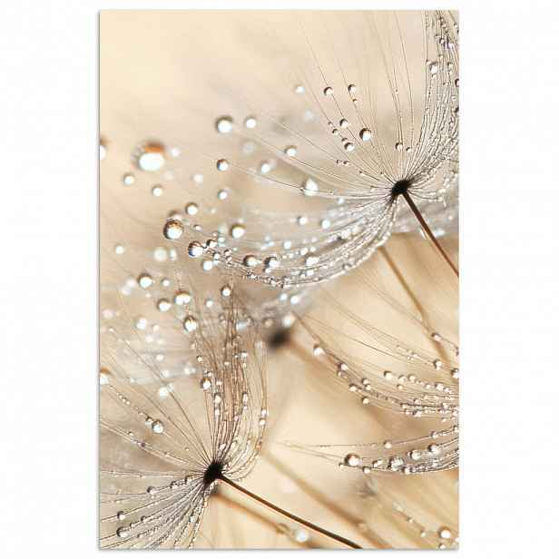 MuchoWow PLAKÁT Pampeliška - Abstraktní - Příroda - Béžová 80x120 cm