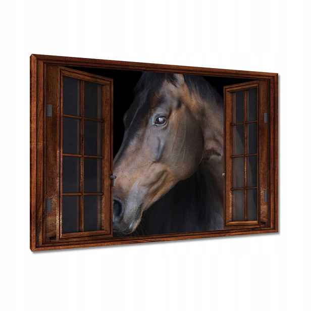 Obrazy 120x80 Kůň Koňská hlava Hlava