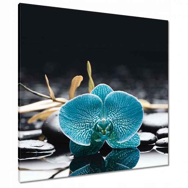 Obrazy 80x80 Tyrkysový orchidej Květina