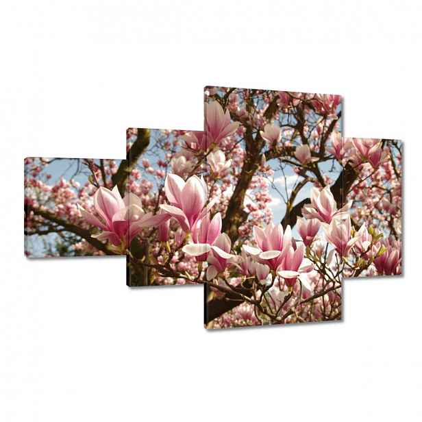 Obrazy 130x80 Magnolie Květiny Světle Modrá