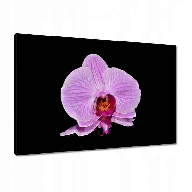 Obrazy 90x60 Fialový orchidej