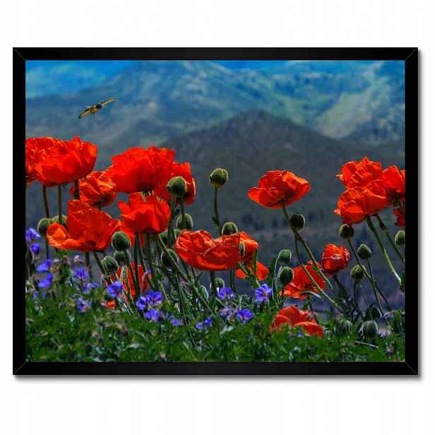 Plakáty v rámu 50x40 Červené máky Květiny