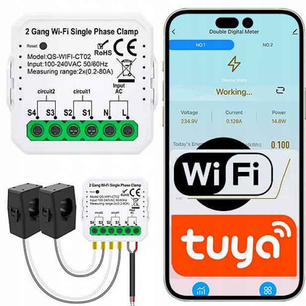 Měřič energie se dvěma převodovkami Wifi 80A Tuya Smart Life Měření kWh