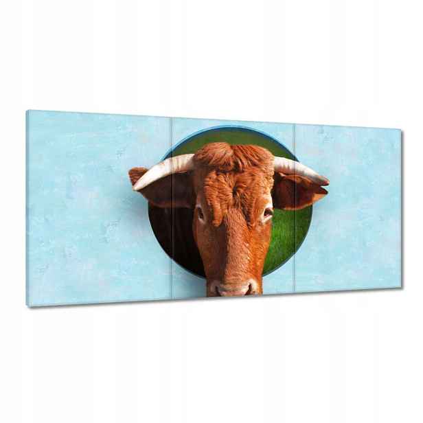 Obrazy 120x60 Rohatý pohled Světle Modrá