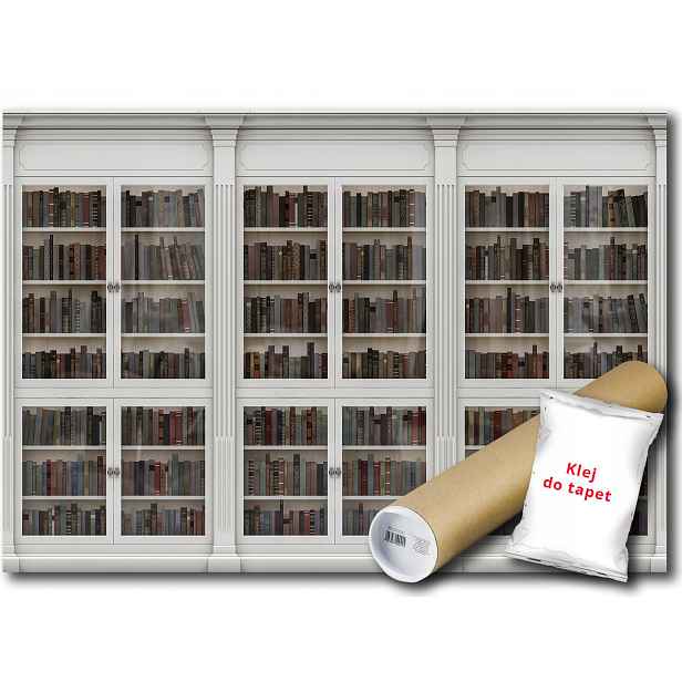 Fototapeta Knihovna 18C V4 254x184 F3689