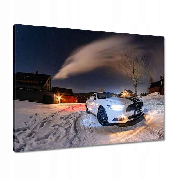 Obrazy 80x60 Bílý Ford Mustang v zimě