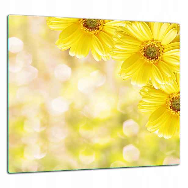 Skleněná Ochranná Deska Panel Lepidlo 65x60 Květiny
