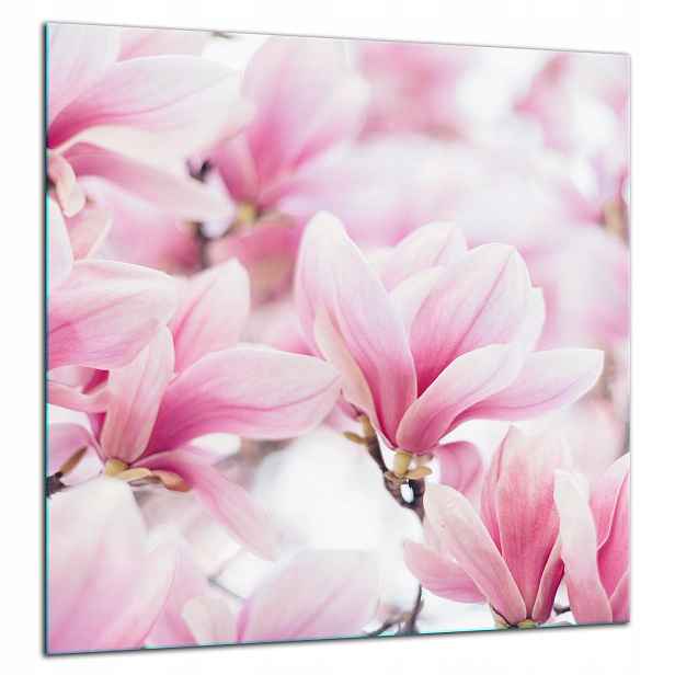Skleněná Ochranná Deska Panel Lepidlo 60x65 Květiny