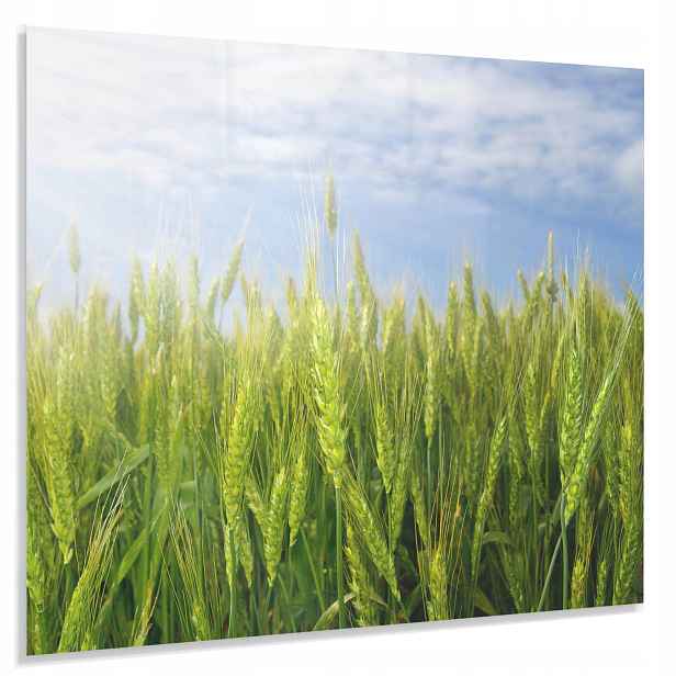 Ochranný Panel 50x60cm 4mm Tvrzený Do Kuchyně Lacobel Dekorativní