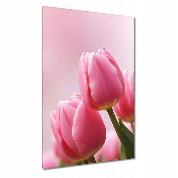 Obrazy 80x120 Růžové tulipány