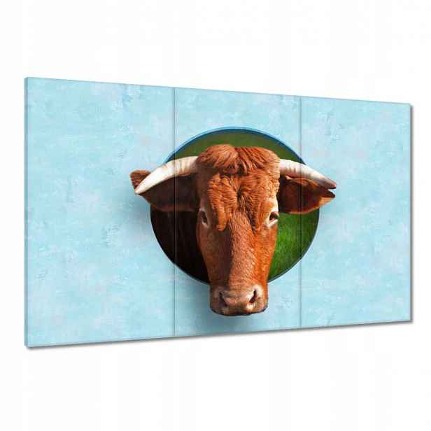 Obrazy 120x80 Rohatý pohled Světle Modrá