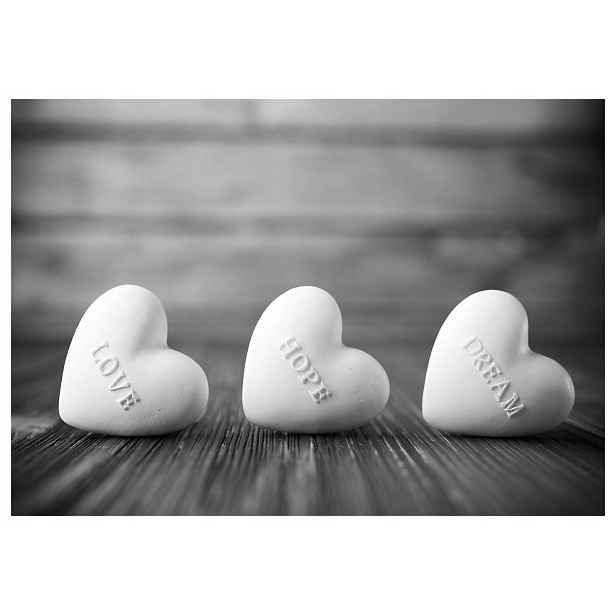 Fototapeta flíz Love Hope Dream Černé srdce na stromě 368x254 lepidlo