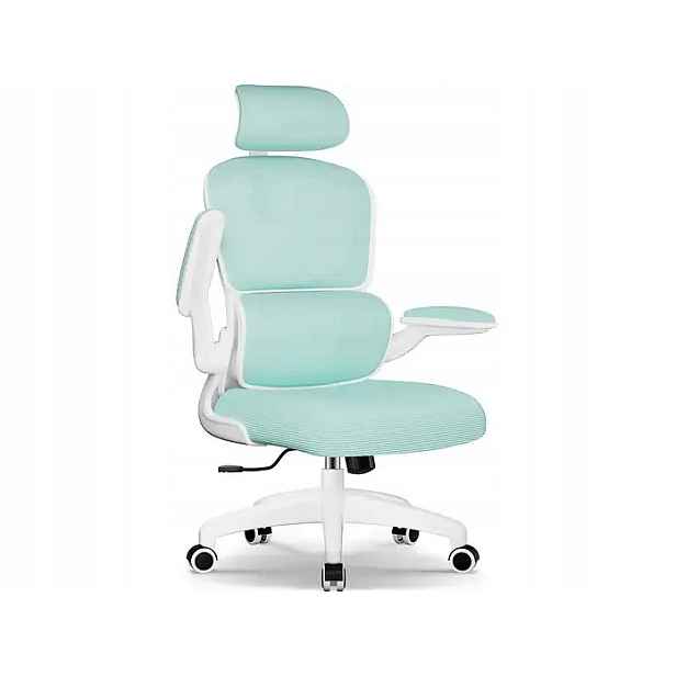 Kancelářská Židle S Opěrkou Hlavy A Bederní Opěrkou, Ergonomická