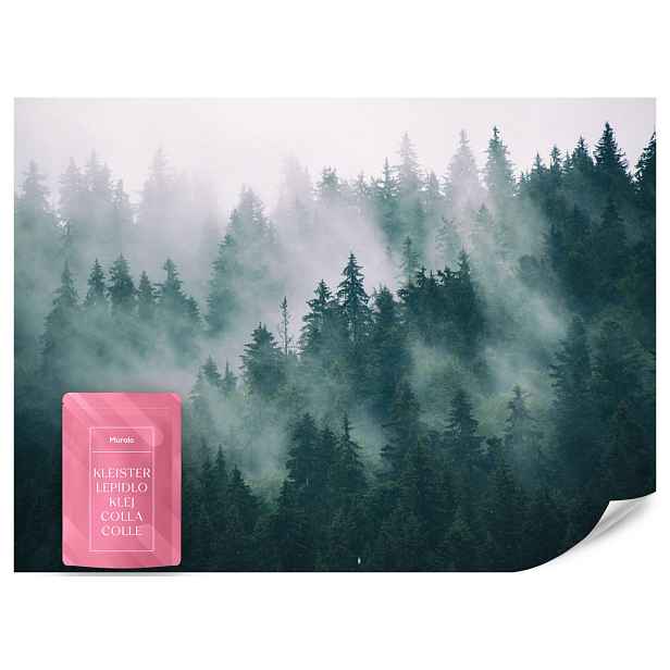 Muralo FOTOTAPETA Les v Mlze Krajina Příroda 3D 500x350