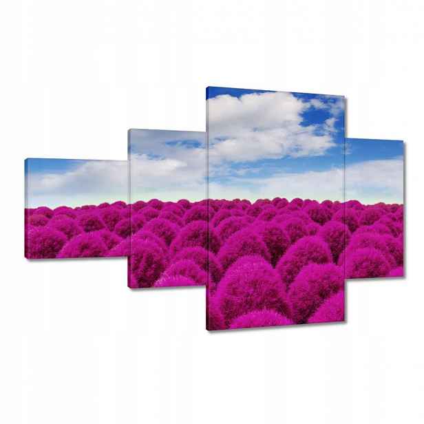 Obrazy 130x80 Výrazná louka Krajina