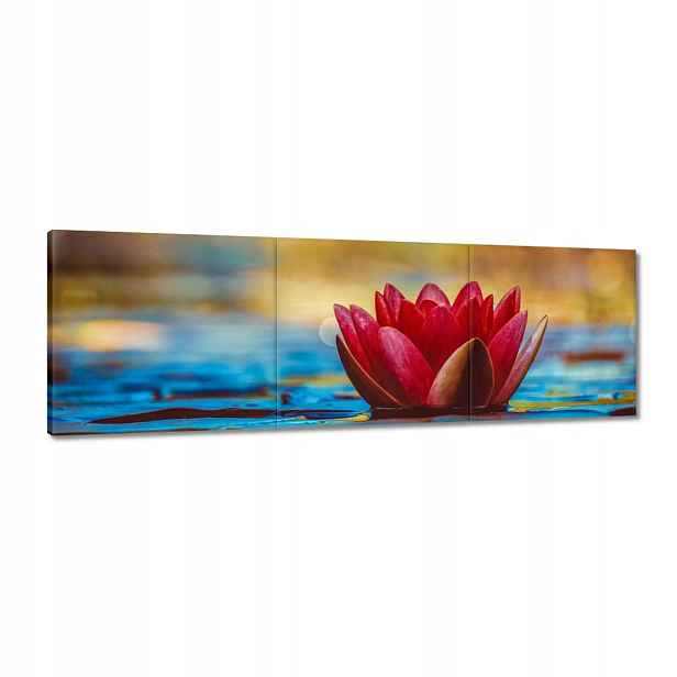 Obrazy 120x40 Leknín Květina Voda