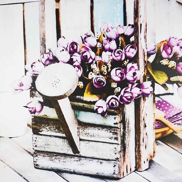 Obraz na plátně Květiny, 80x80 cm