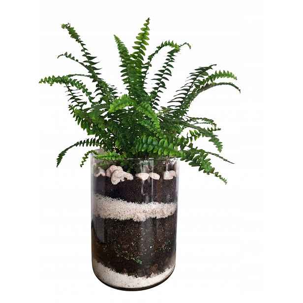 Diy sada pro výsadbu rostlin sklenice země dekorace