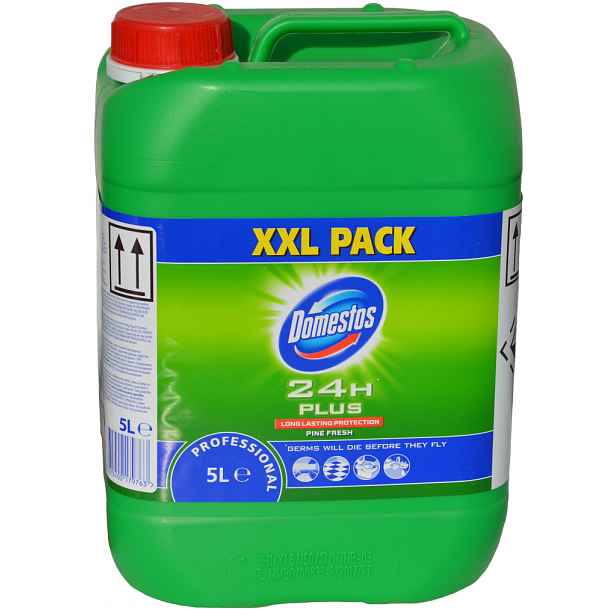 Domestos 5l Pine Fresh zelený