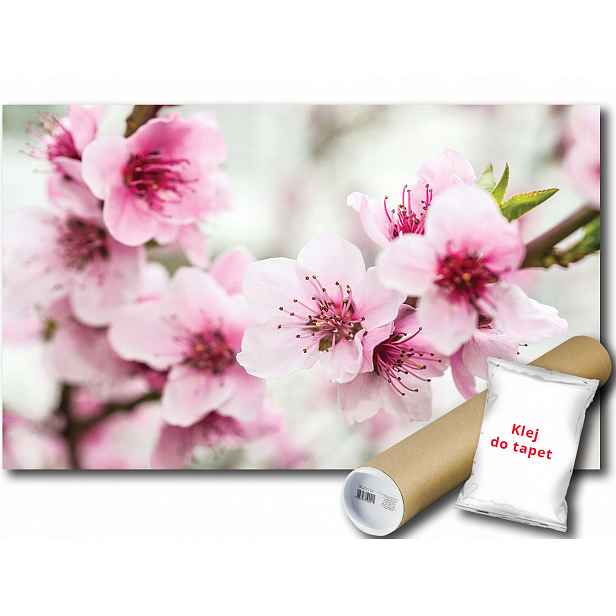 Fototapeta Jabloňové Květiny 9E F2XL 312x219 F1168