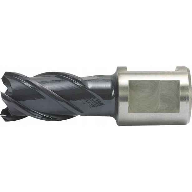 Vrták Rqx HSS-Co 20/30 mm Alfra