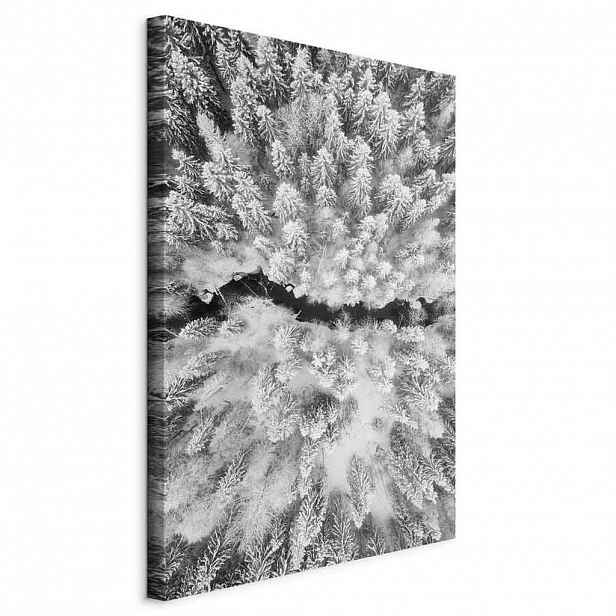 artgeist MALBA NA PLÁTNĚ, Landschaft und Natur, stromy, 40/60/1,2 cm